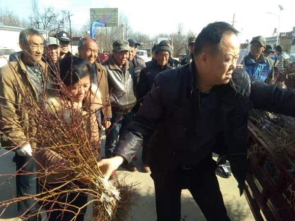 1680571230261310.jpg 圖片5.jpg